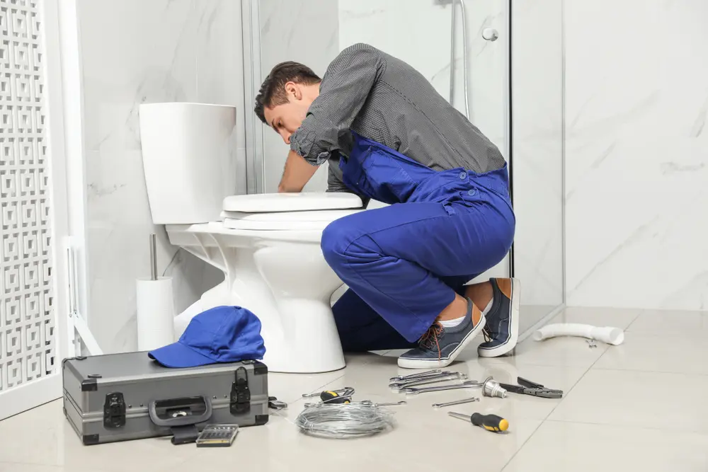 Toilet Installation in Wailuku